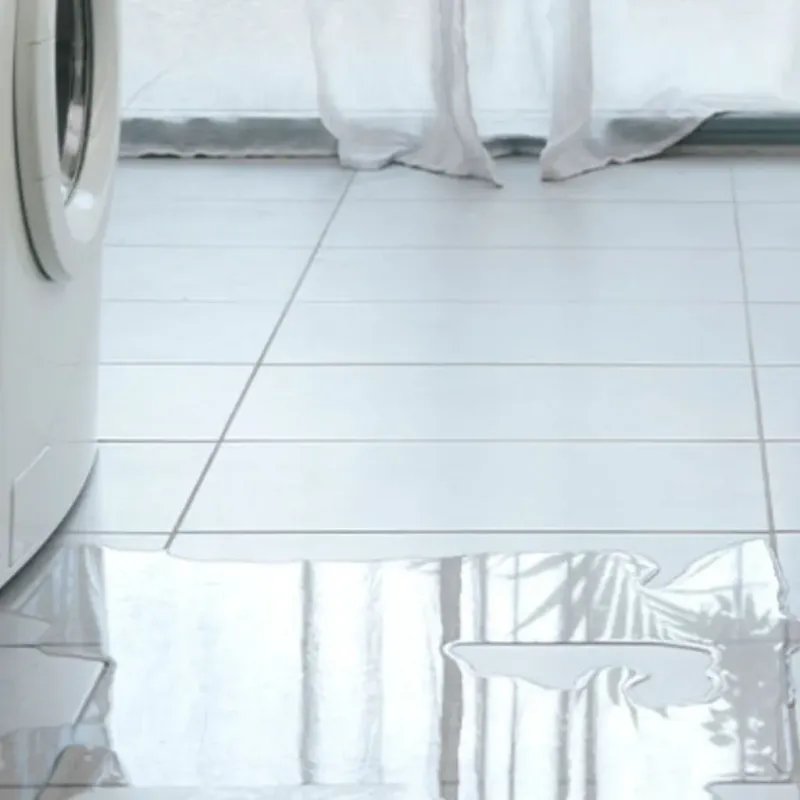 Appliance Leak Cleanup in Poolesville, MD