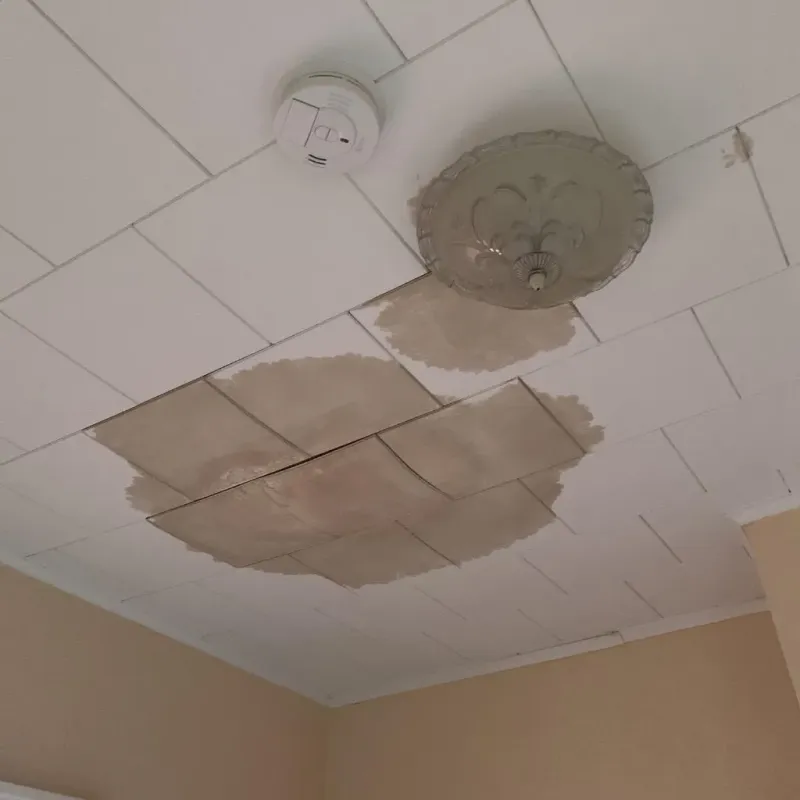 Ceiling Water Damage Repair in Poolesville, MD