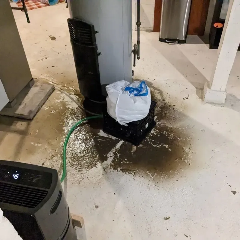 Sewage Backup Cleanup Service in Poolesville, MD